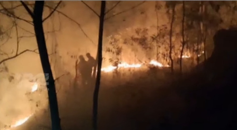 nedumangad fire thannimoodu fire force