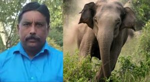 wild life attack: Opposition to move urgent motion in Assembly