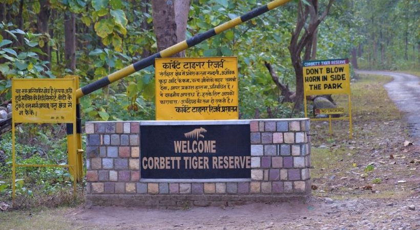 Jim Corbett illegal construction: SC raps former Uttarakhand Forest Minister