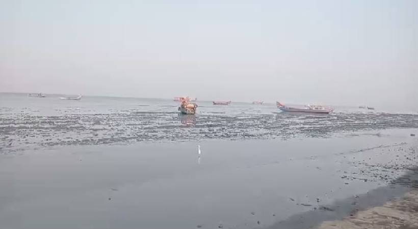 Sea recedes about 50 metres in Alappuzha