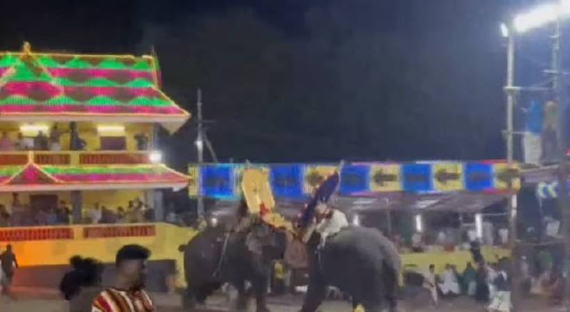 elephant gone mad during arattupuzha tharakkal pooram