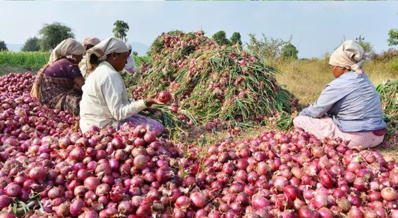 Govt extends ban on onion exports