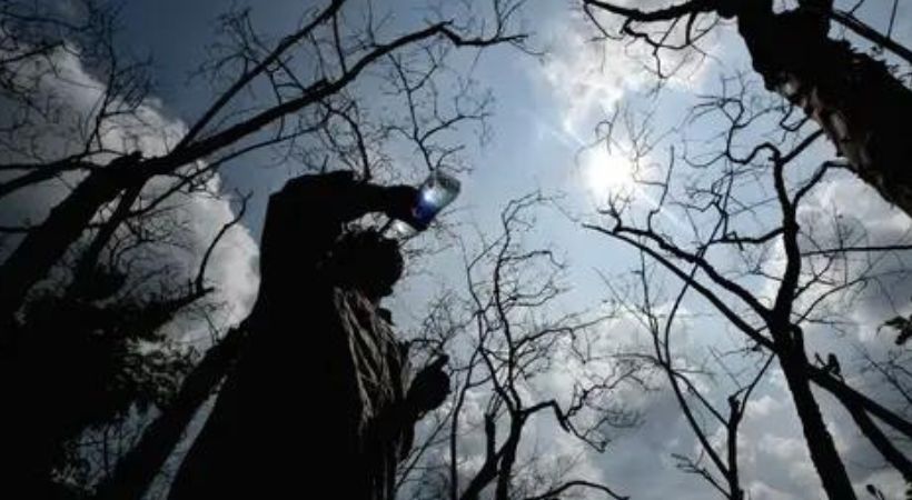 High temperature warning in Kerala