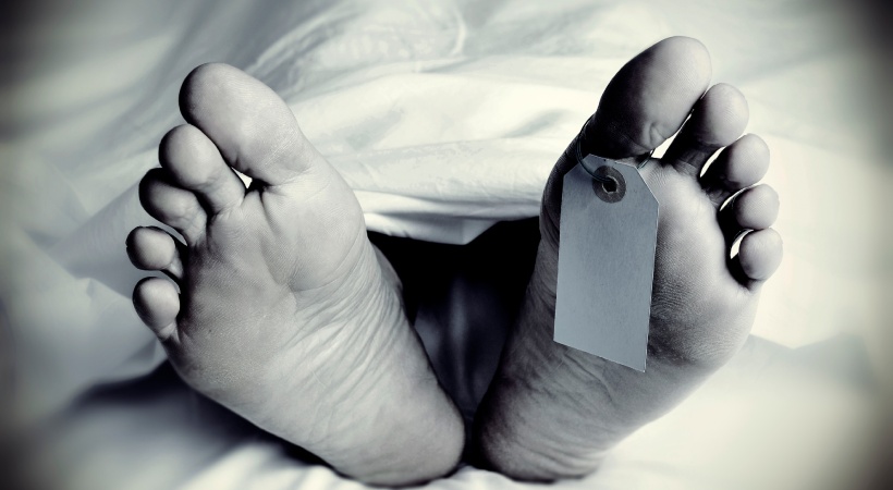 man injured and died while taking elephant out of vehicle