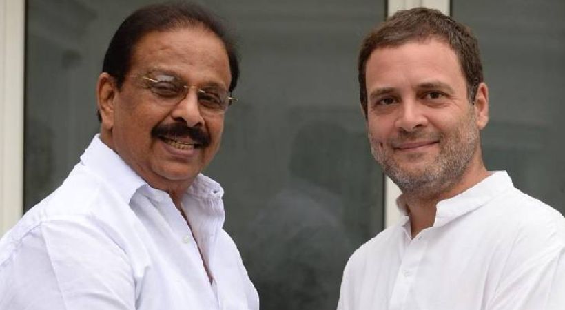 Lok Sabha Polls 2024 : Rahul Gandhi to contest from Wayanad again