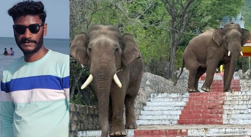 young man killed in a wild elephant attack