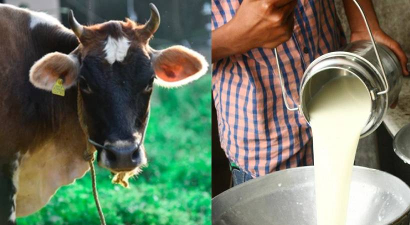 Milk production decreased Kerala due to hot weather