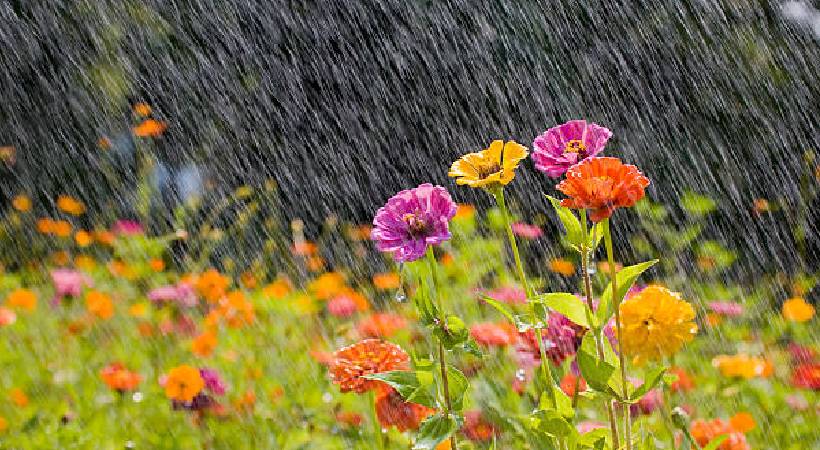 chances of summer rain in kerala