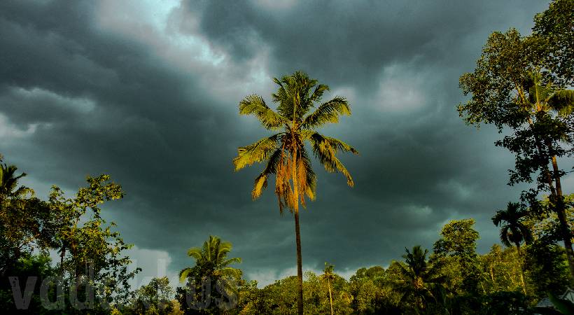 summer rain to continue in kerala