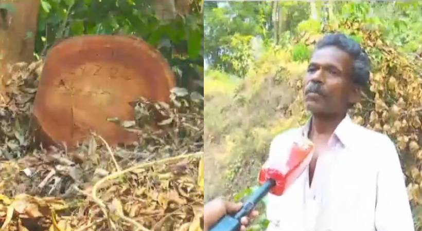 sugandhagiri illicit forest tree cutting by forest officials