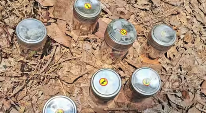 panoor blast one held