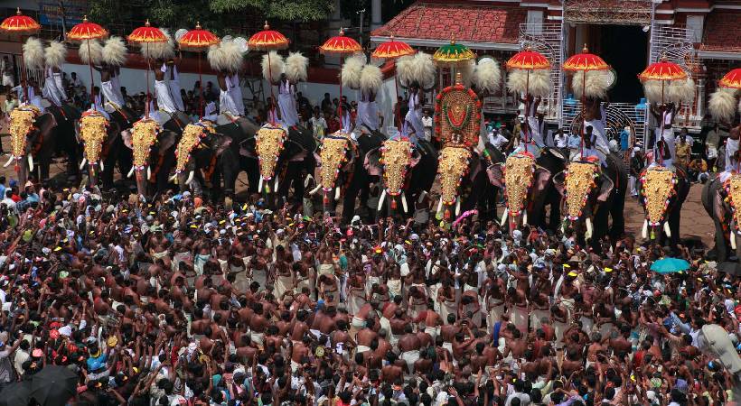 Forest department will amend controversial elephant circular