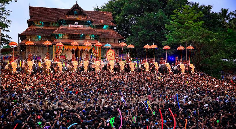 Special team for elephant medical check up Thrissur Pooram