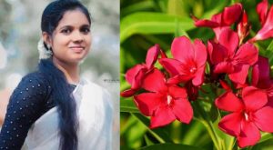is arali flower poisonous Oleander poisoning
