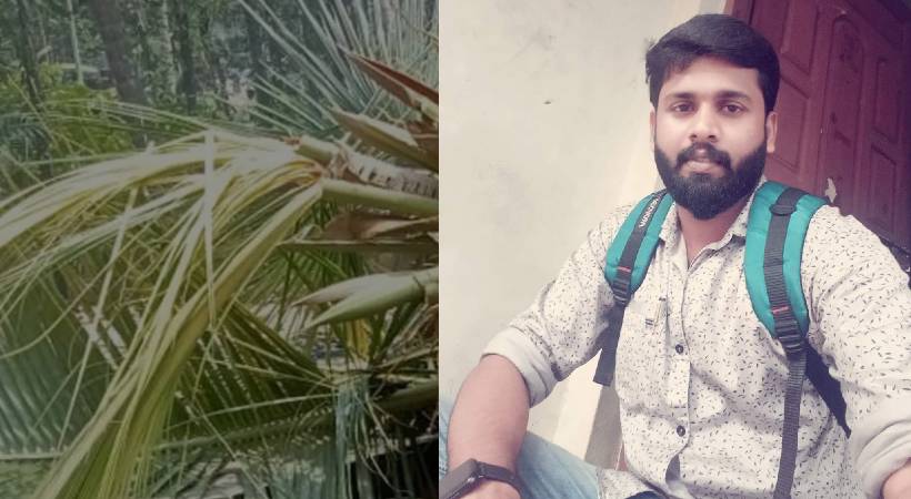 Tree fell in alapuzha younf man died