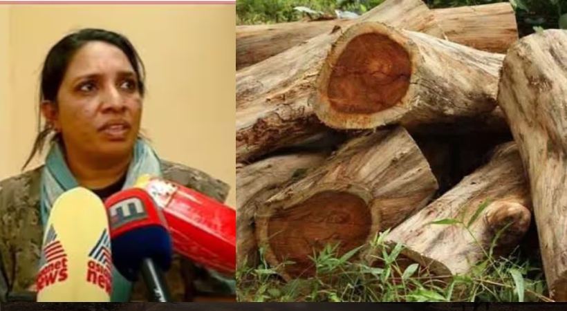sugandhagiri tree cutting dfo transfer