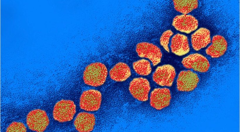 Idukki man died due to west nile virus