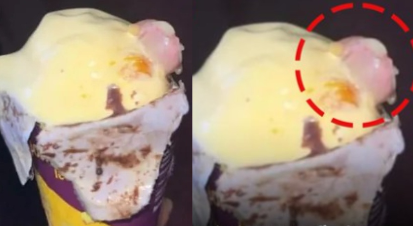 Mumbai woman finds human finger inside ice cream ordered online