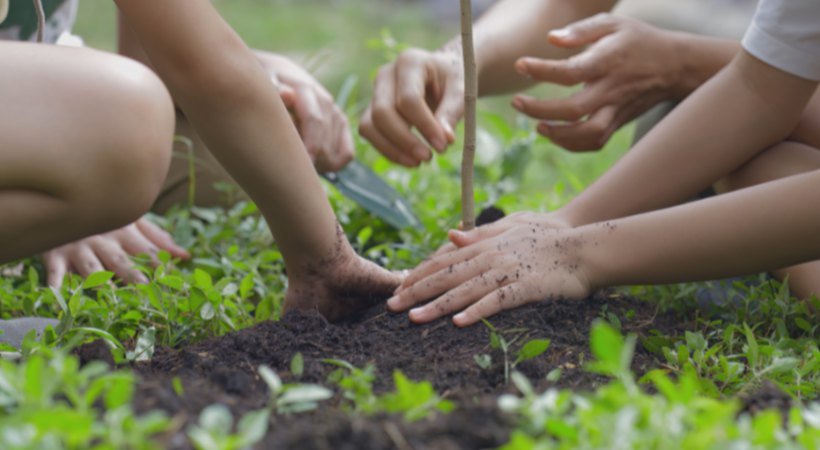 world environment day 2024 updates