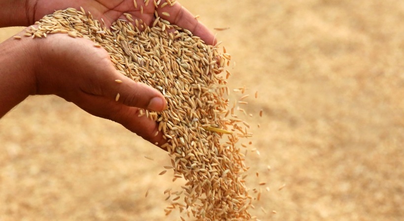 central government approves MSP hike for 14 kharif crops