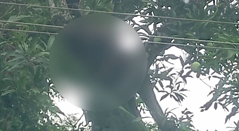 Young man died after being shocked by power line