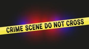 naam tamilar party executive killed in Tamil Nadu
