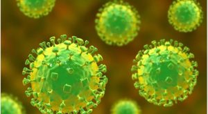 15-year-old child from Malappuram is suspected of having Nipah