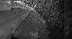 Kerala rains rain updates August 23