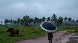 Heavy rain in kerala yellow alert for 6 districts