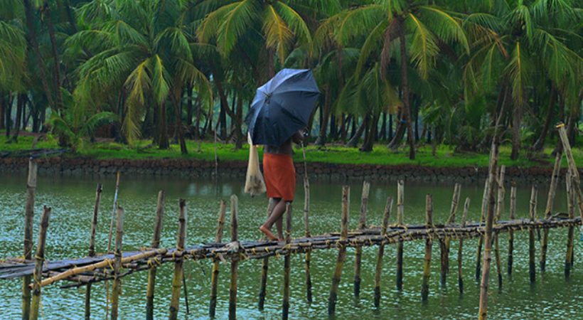 kerala rains yellow alert in 10 districts