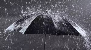 Kerala Rains yellow alert in 2 districts