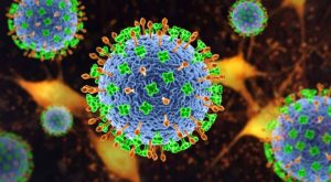 Nipah in Malappuram 5 wards containment Zone