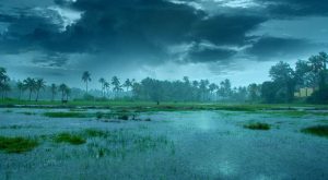 kerala rains heavy rain likely in kerala for 5 days