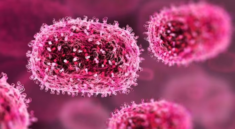 one more mpox case confirmed in Kerala