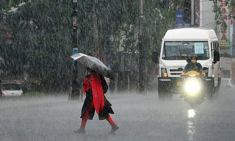 rain