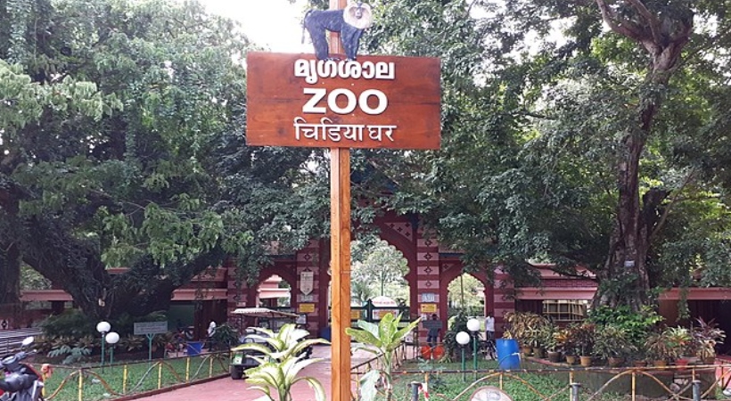zoo
