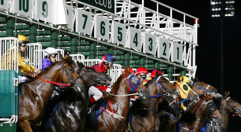 horse race