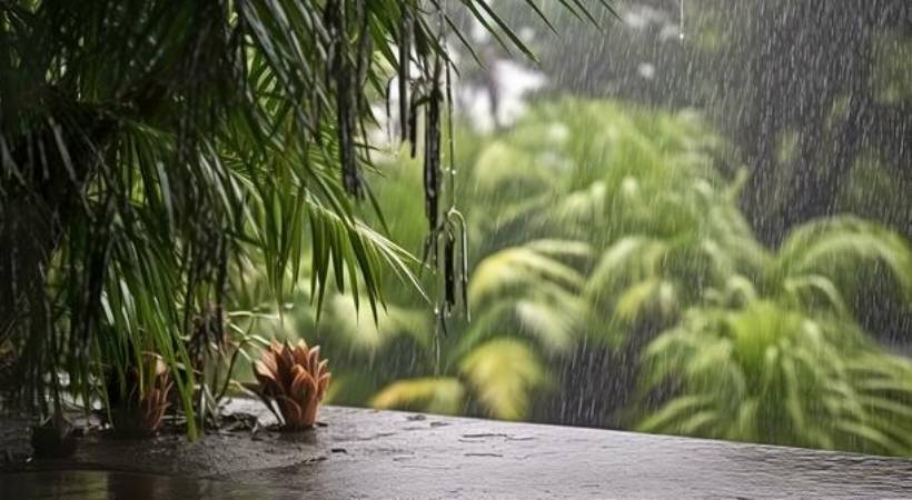 Kerala rains