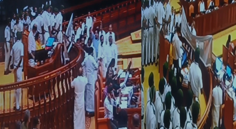 udf mla