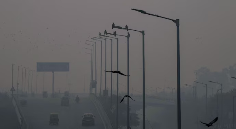 delhi