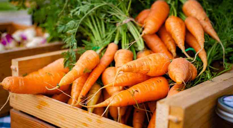 benefits of carrot