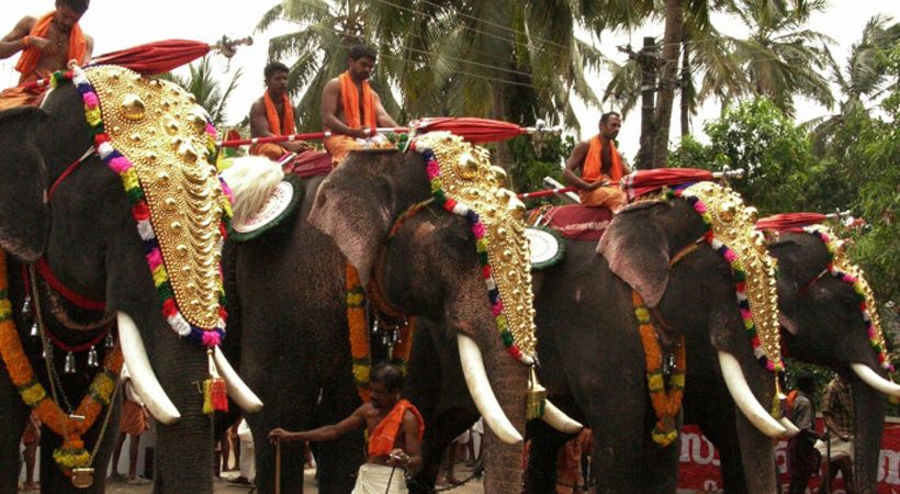 forest department case related to Poornathrayeesa Temple festival