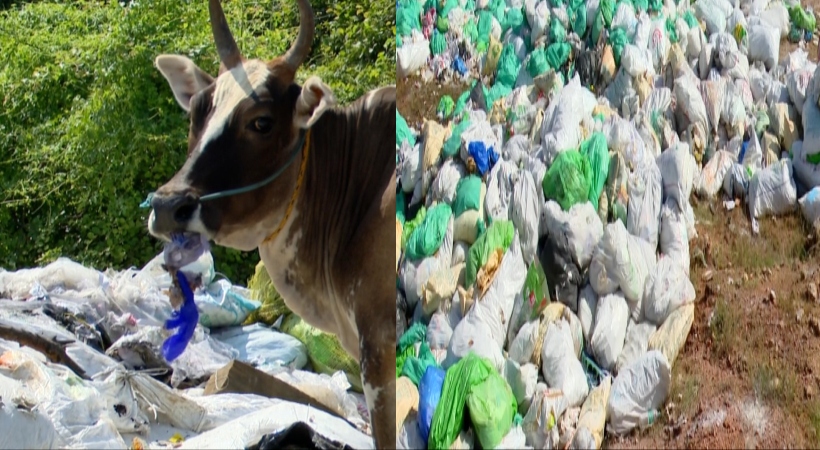 waste