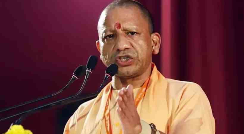 yogi