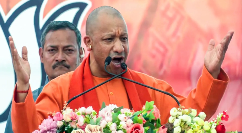 yogi