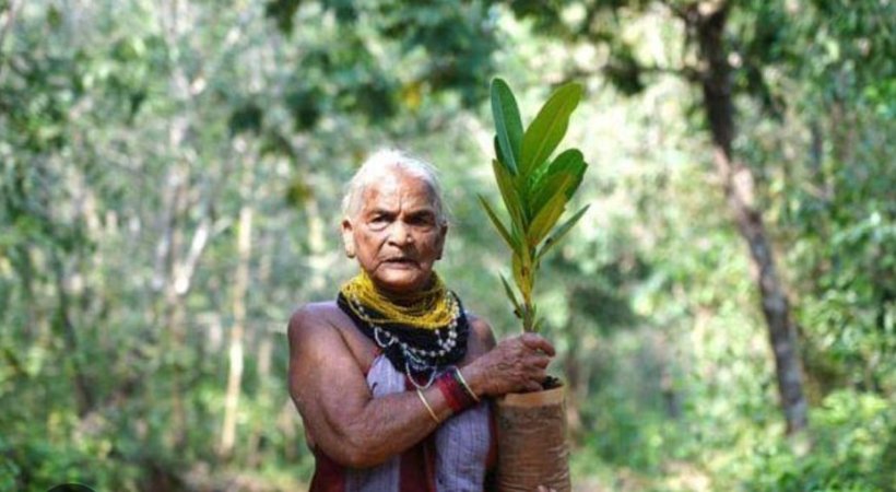 Padma Shri awardee Tulsi Gowda passes away