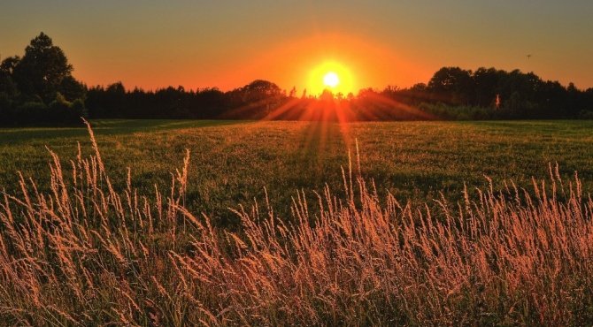 SUPER SUN