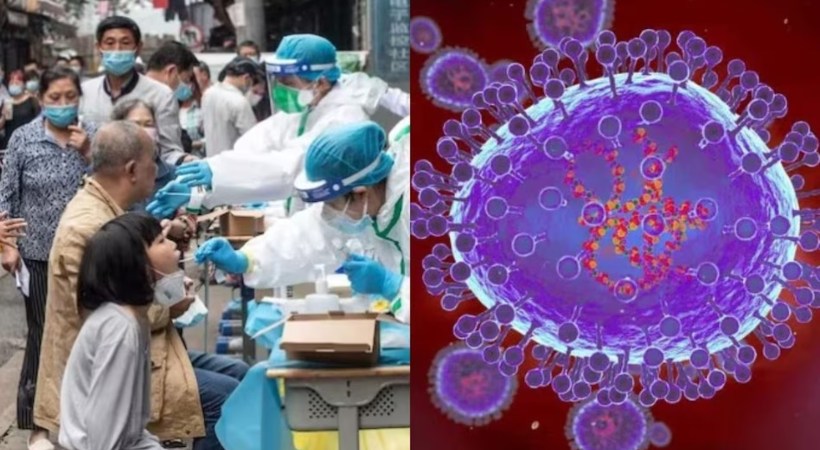 WHO on HMP virus