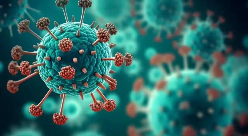 What is HMPV? Is it different from COVID-19?