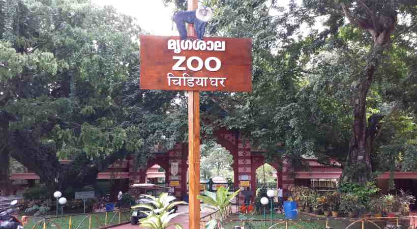 zoo